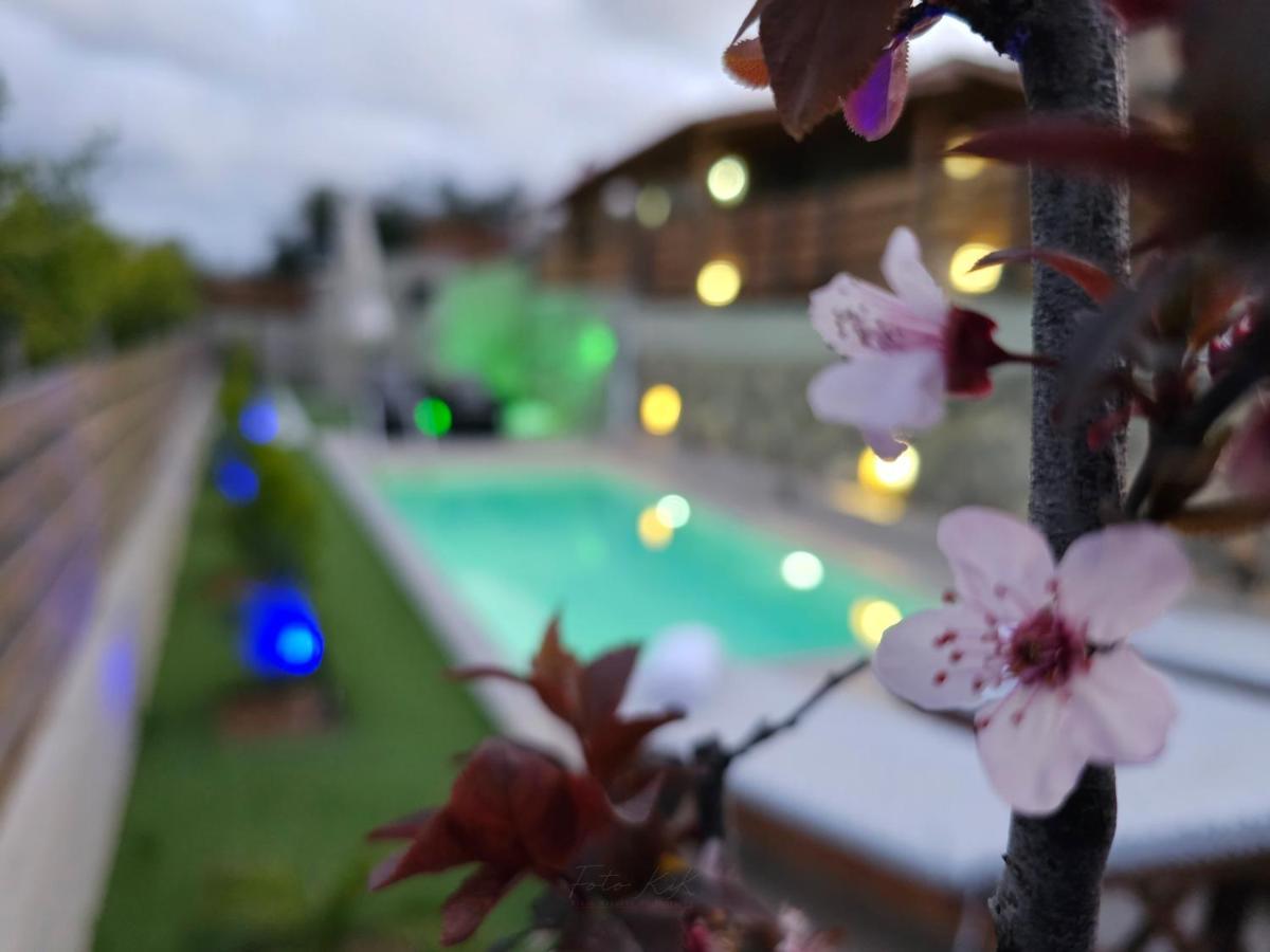Elia Paradise Villa With Private Pool Ηράκλειο Κρήτης Εξωτερικό φωτογραφία